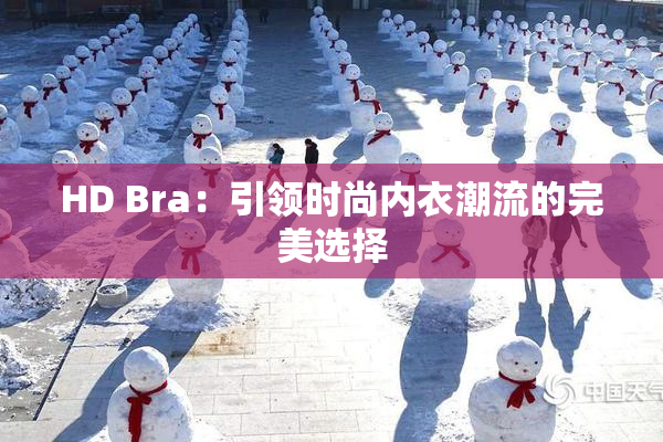 HD Bra：引领时尚内衣潮流的完美选择