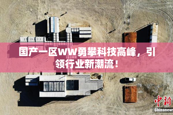 国产一区WW勇攀科技高峰，引领行业新潮流！