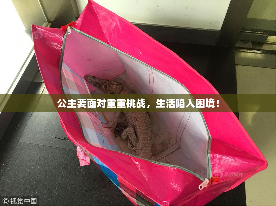 公主要面对重重挑战，生活陷入困境！