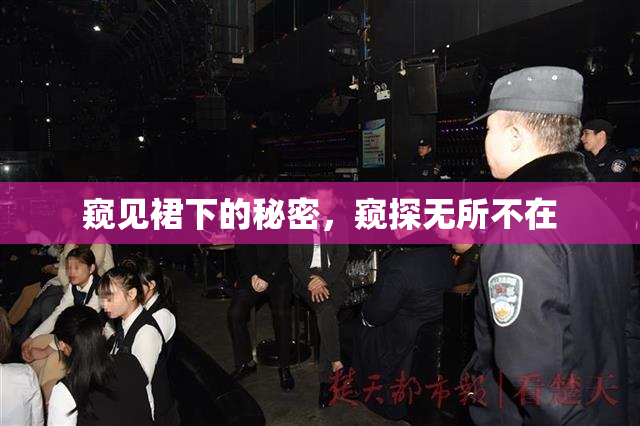 窥见裙下的秘密，窥探无所不在