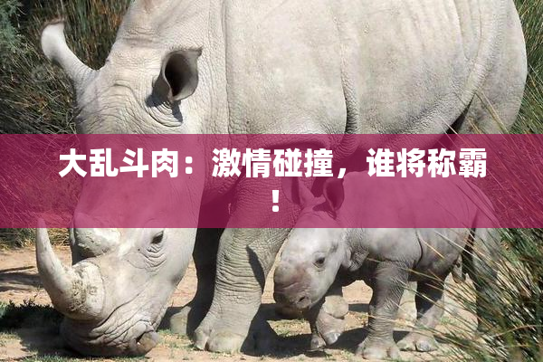 大乱斗肉：激情碰撞，谁将称霸！
