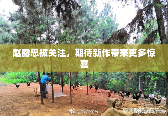 赵露思被关注，期待新作带来更多惊喜