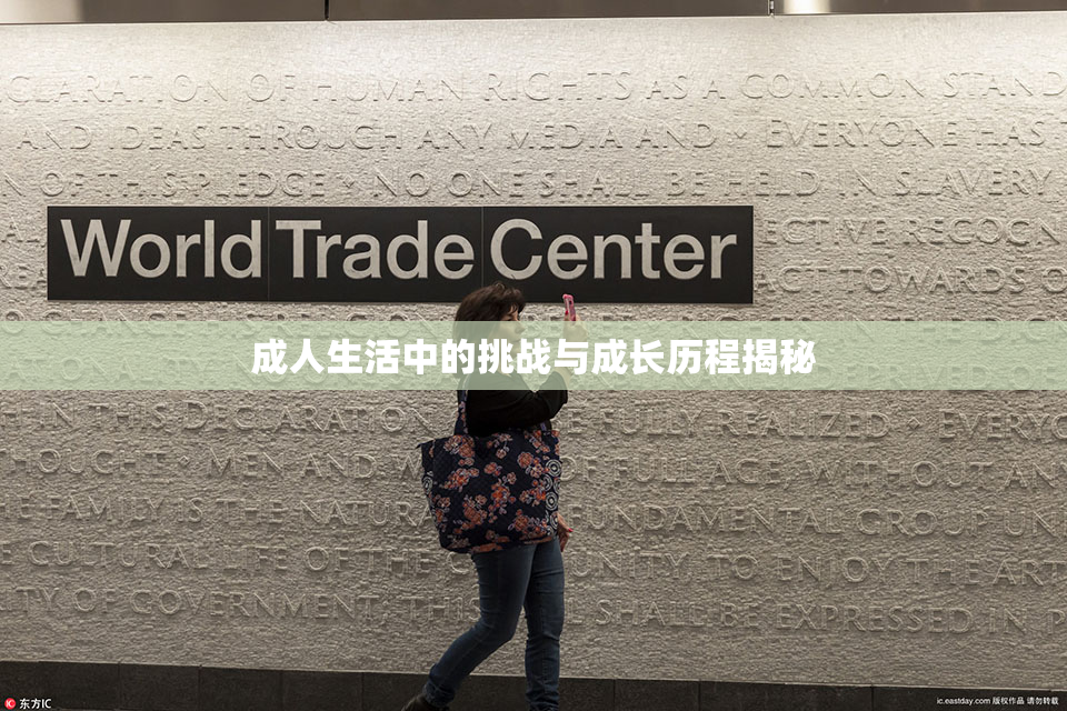 成人生活中的挑战与成长历程揭秘