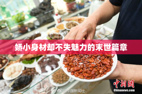 娇小身材却不失魅力的末世篇章