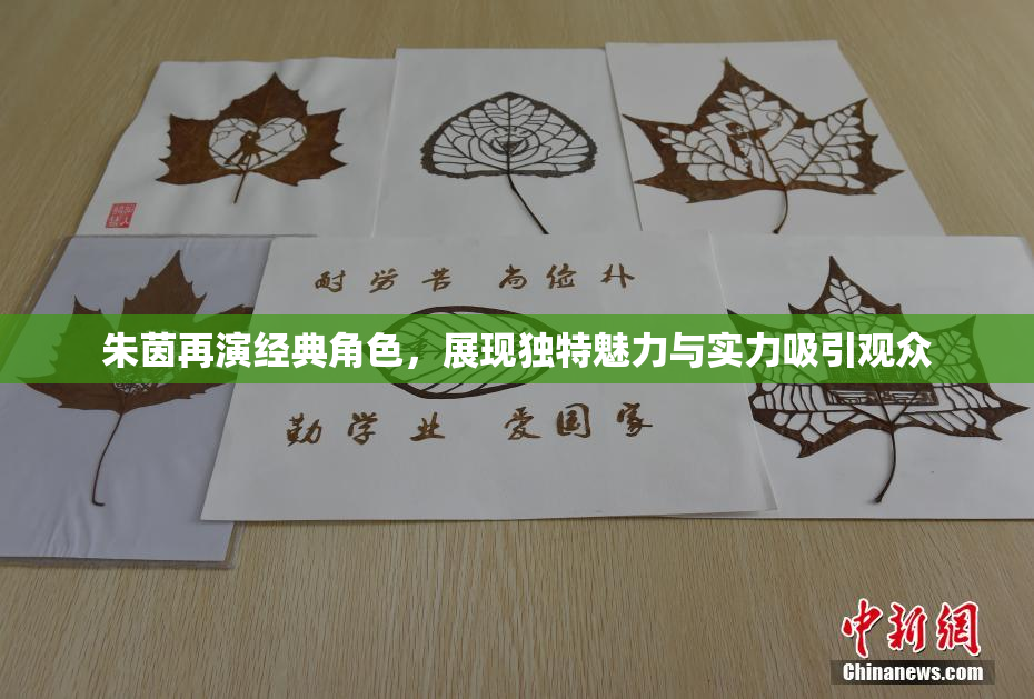 朱茵再演经典角色，展现独特魅力与实力吸引观众