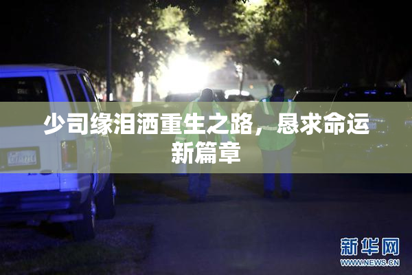 少司缘泪洒重生之路，恳求命运新篇章