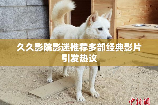 久久影院影迷推荐多部经典影片引发热议