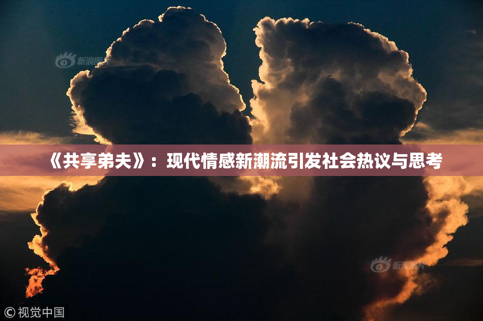 《共享弟夫》：现代情感新潮流引发社会热议与思考