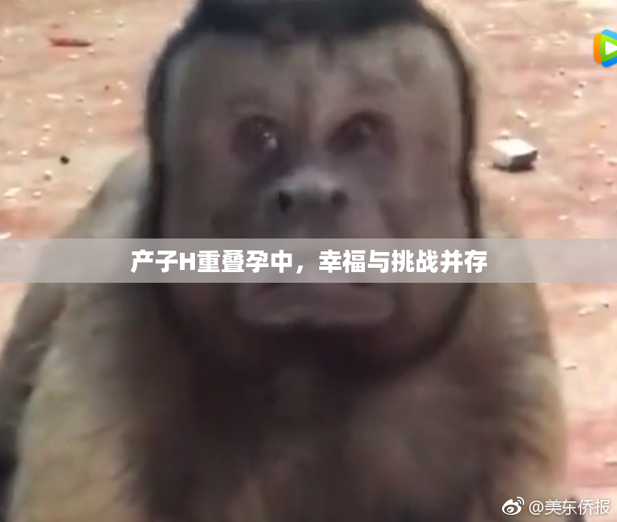 产子H重叠孕中，幸福与挑战并存