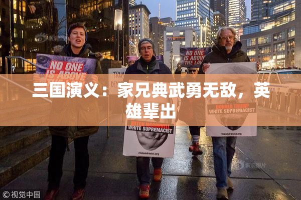 三国演义：家兄典武勇无敌，英雄辈出