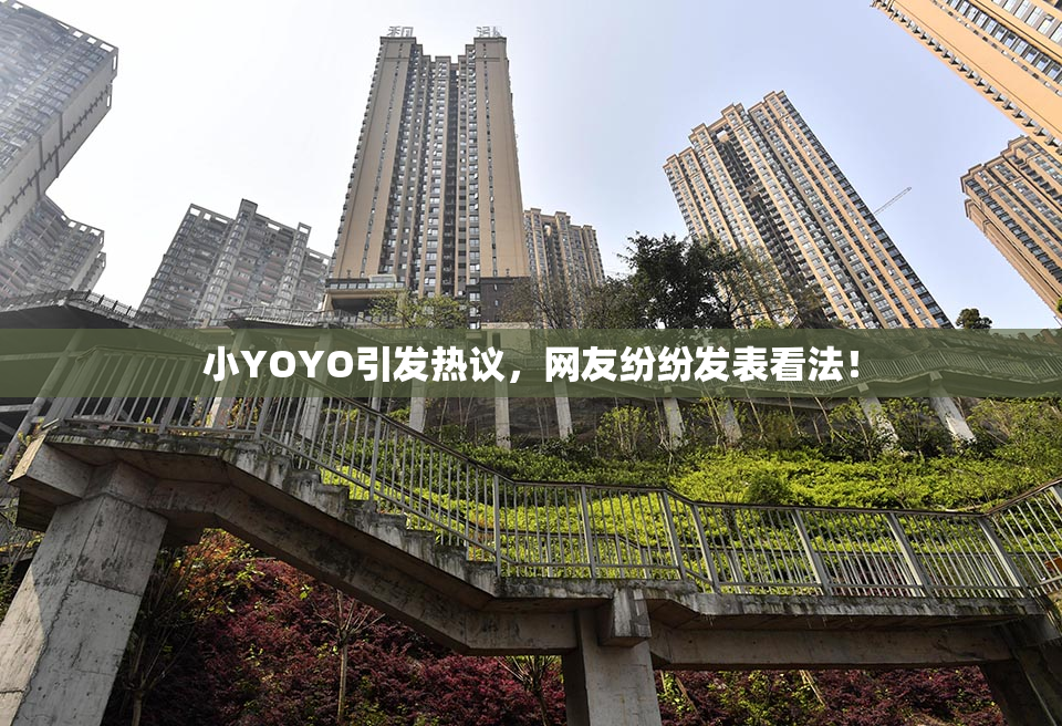 小YOYO引发热议，网友纷纷发表看法！