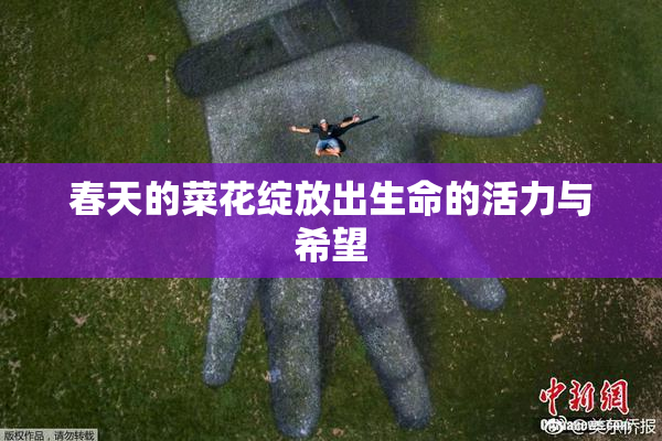 春天的菜花绽放出生命的活力与希望