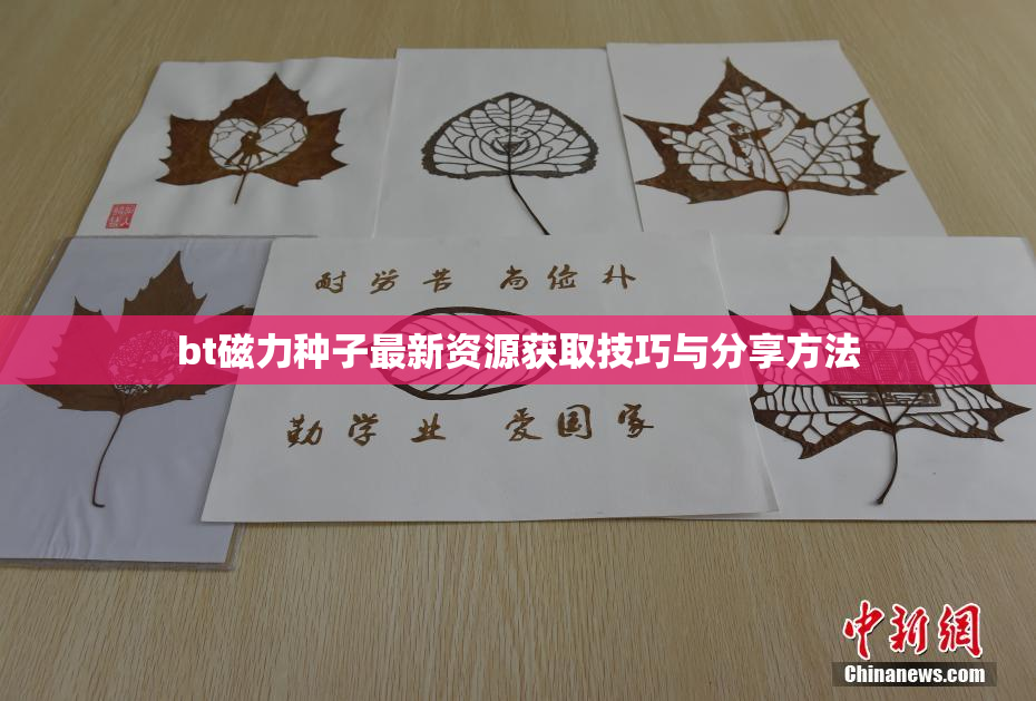 bt磁力种子最新资源获取技巧与分享方法