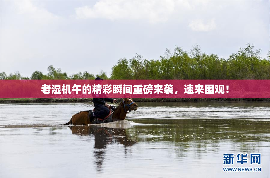 老湿机午的精彩瞬间重磅来袭，速来围观！
