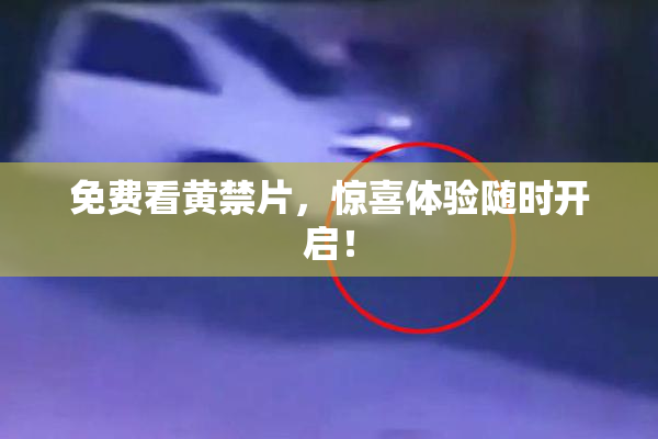 免费看黄禁片，惊喜体验随时开启！