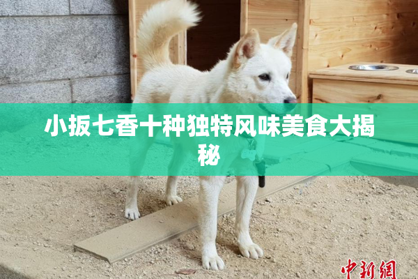 小扳七香十种独特风味美食大揭秘