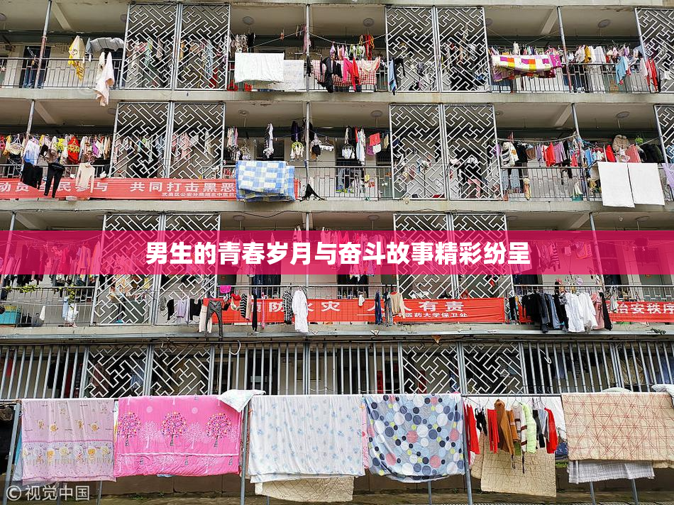 男生的青春岁月与奋斗故事精彩纷呈