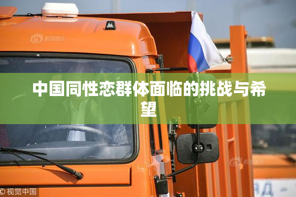 中国同性恋群体面临的挑战与希望