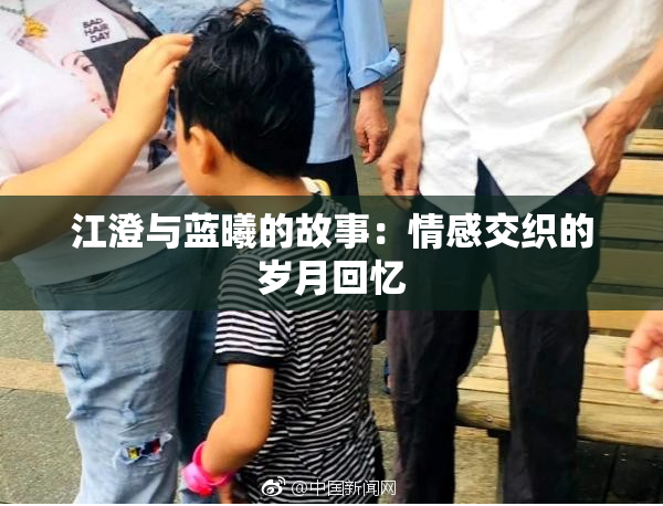 江澄与蓝曦的故事：情感交织的岁月回忆