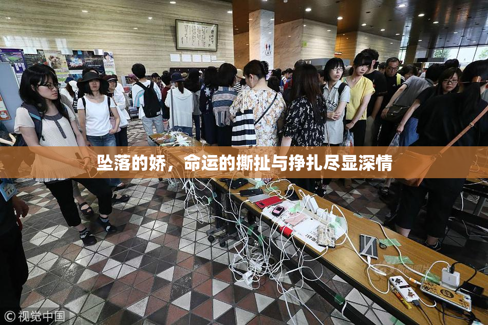 坠落的娇，命运的撕扯与挣扎尽显深情