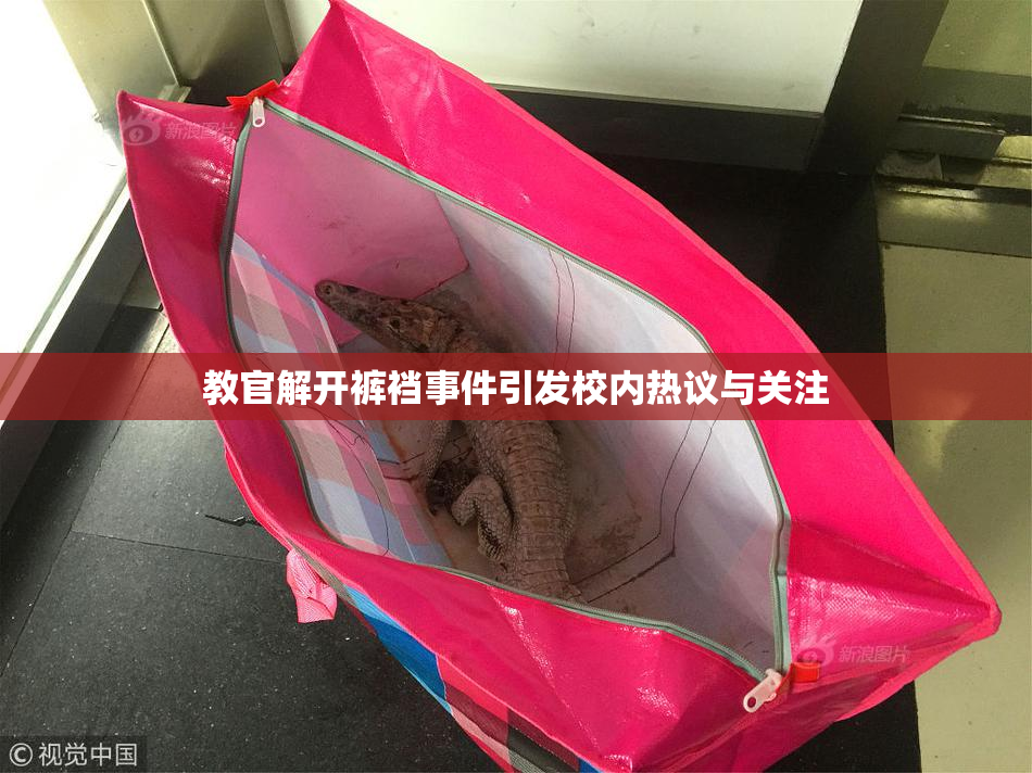 教官解开裤裆事件引发校内热议与关注