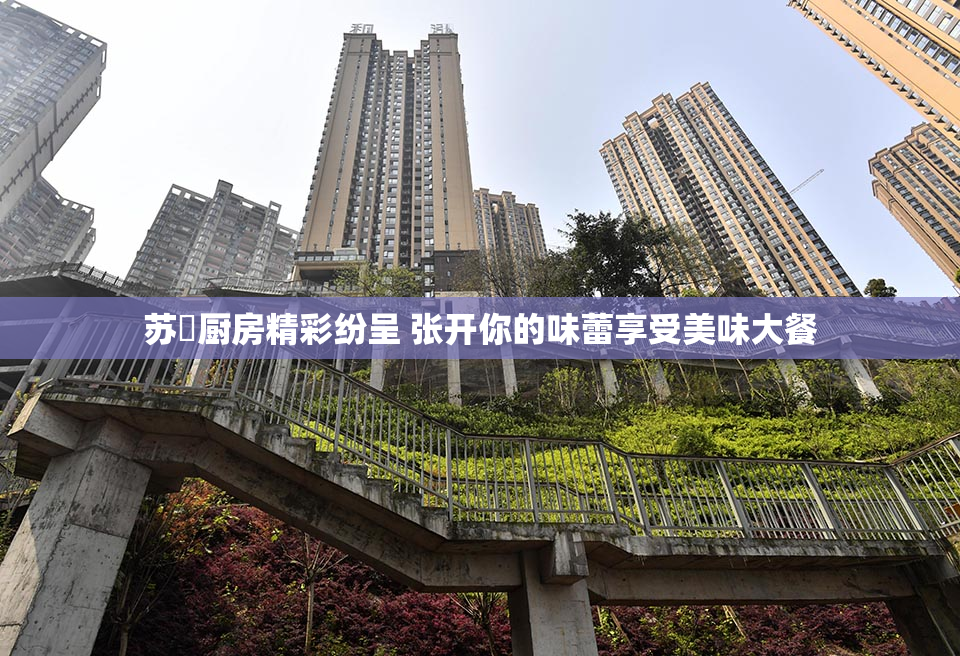 苏玥厨房精彩纷呈 张开你的味蕾享受美味大餐