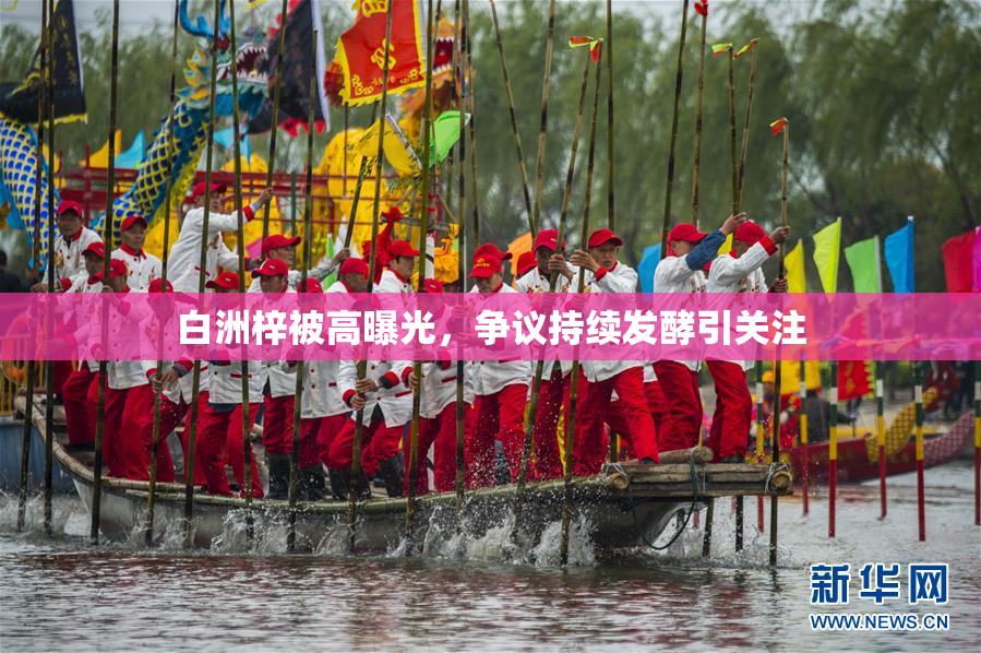 白洲梓被高曝光，争议持续发酵引关注