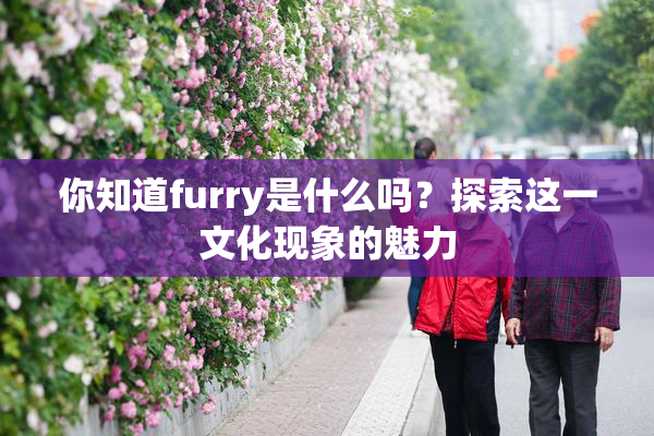 你知道furry是什么吗？探索这一文化现象的魅力