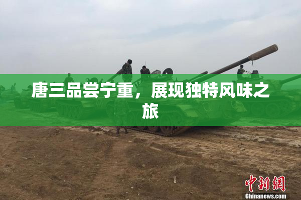唐三品尝宁重，展现独特风味之旅