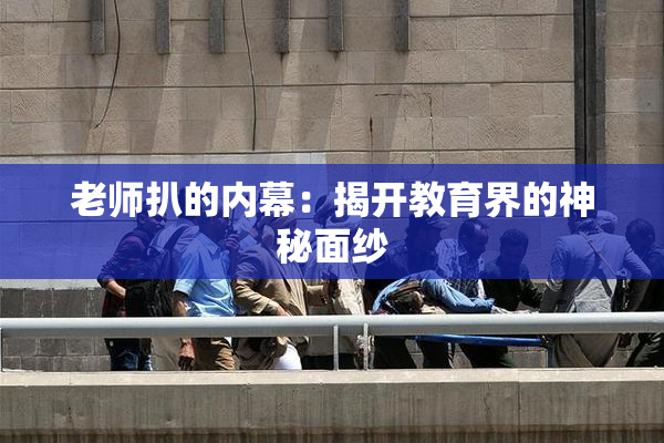 老师扒的内幕：揭开教育界的神秘面纱