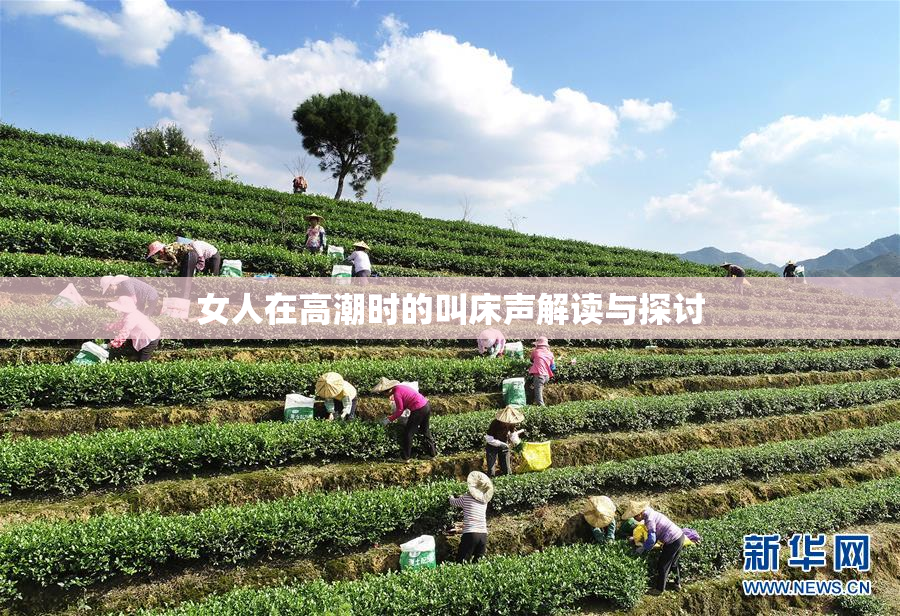 女人在高潮时的叫床声解读与探讨