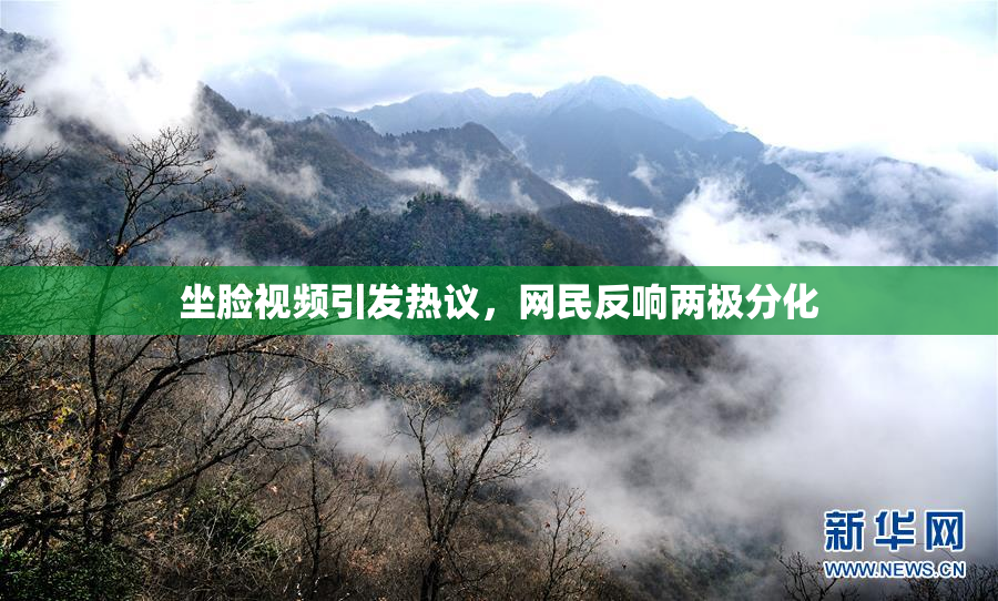 坐脸视频引发热议，网民反响两极分化