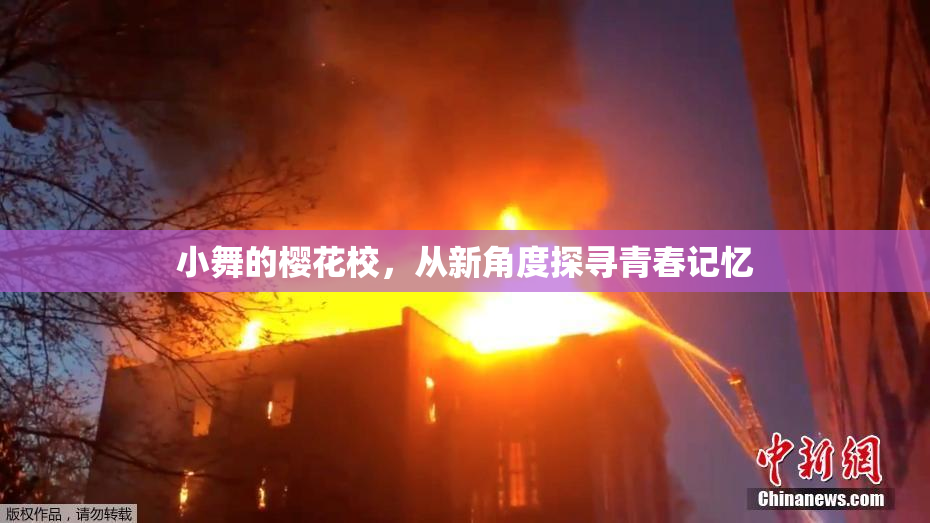 小舞的樱花校，从新角度探寻青春记忆