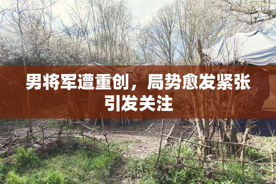 男将军遭重创，局势愈发紧张引发关注