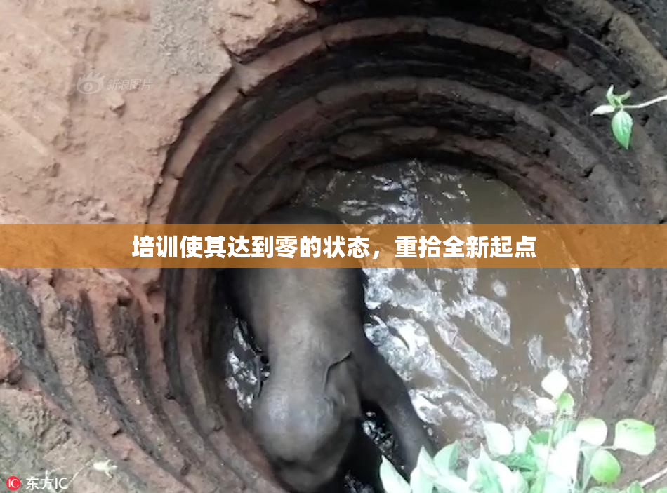 培训使其达到零的状态，重拾全新起点