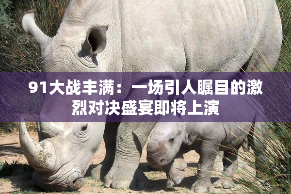 91大战丰满：一场引人瞩目的激烈对决盛宴即将上演