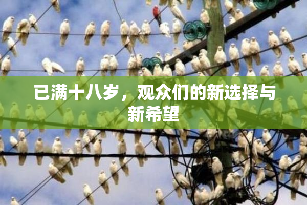 已满十八岁，观众们的新选择与新希望
