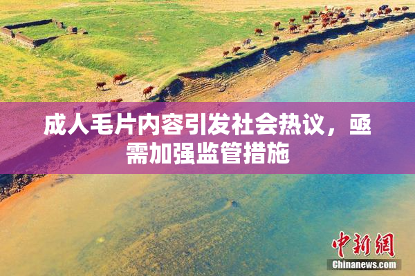 成人毛片内容引发社会热议，亟需加强监管措施