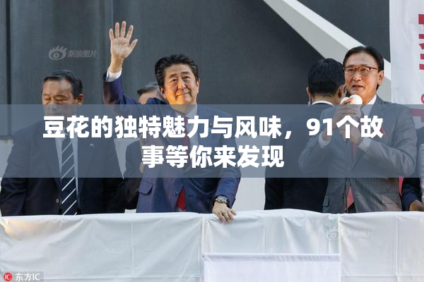 豆花的独特魅力与风味，91个故事等你来发现