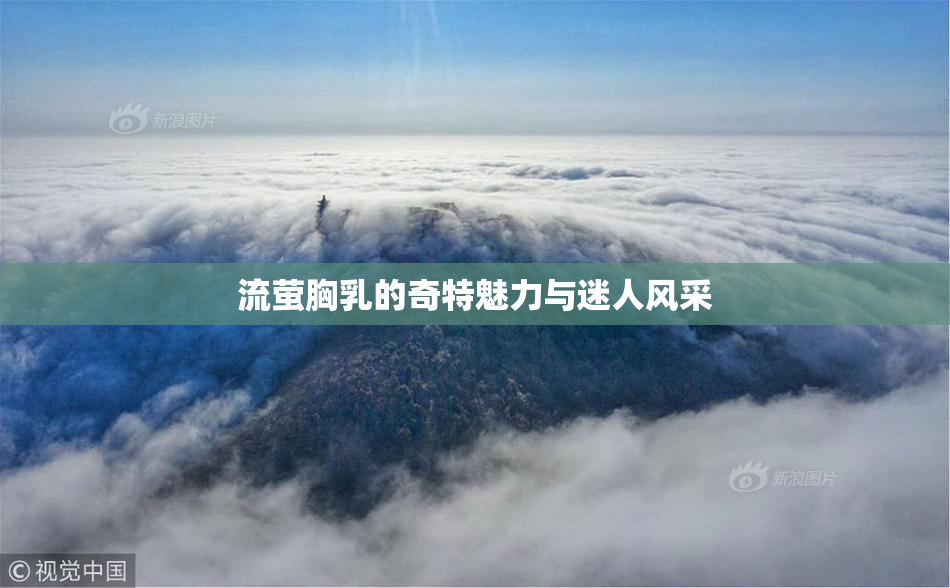 流萤胸乳的奇特魅力与迷人风采