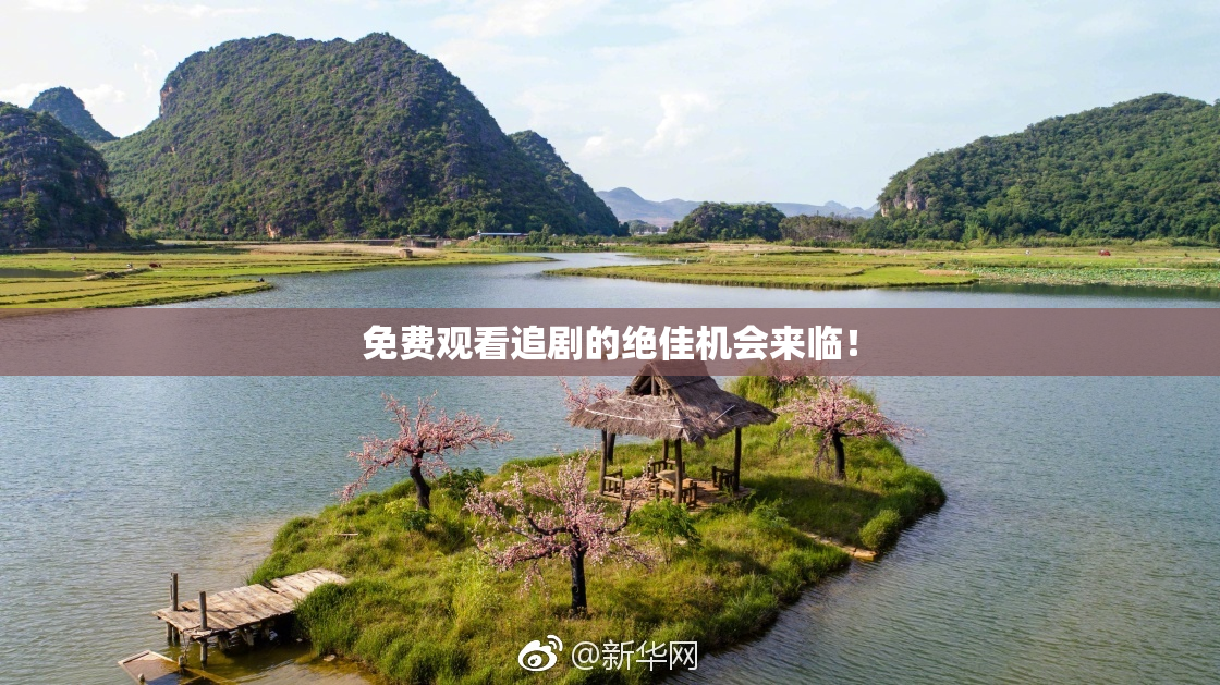 免费观看追剧的绝佳机会来临！