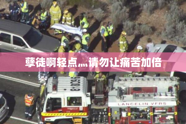 孽徒啊轻点灬请勿让痛苦加倍