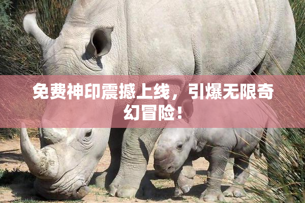 免费神印震撼上线，引爆无限奇幻冒险！