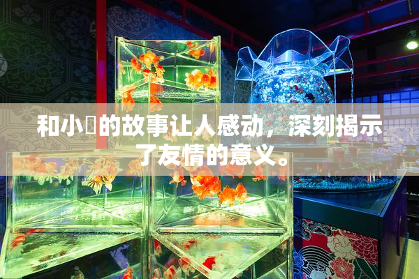 和小娻的故事让人感动，深刻揭示了友情的意义。