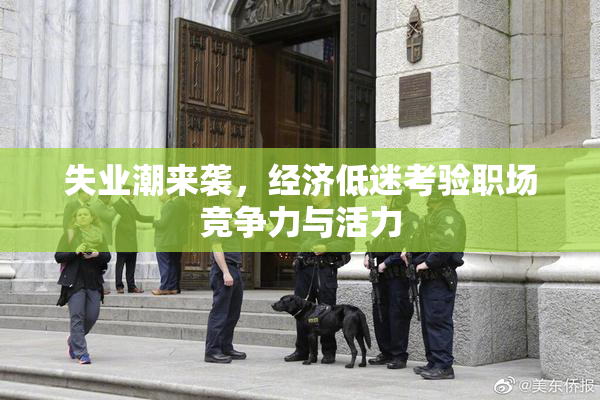 失业潮来袭，经济低迷考验职场竞争力与活力