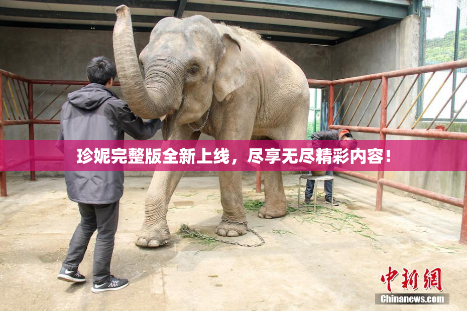 珍妮完整版全新上线，尽享无尽精彩内容！