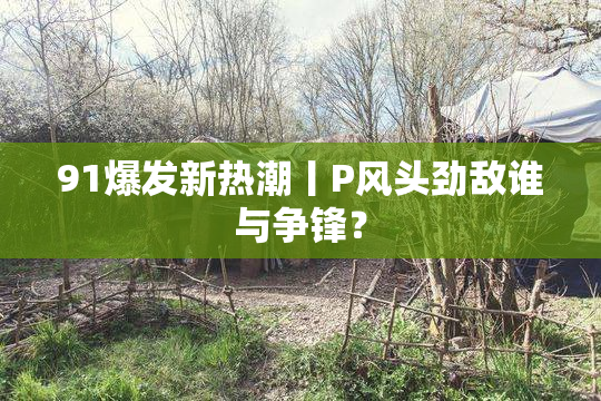91爆发新热潮丨P风头劲敌谁与争锋？