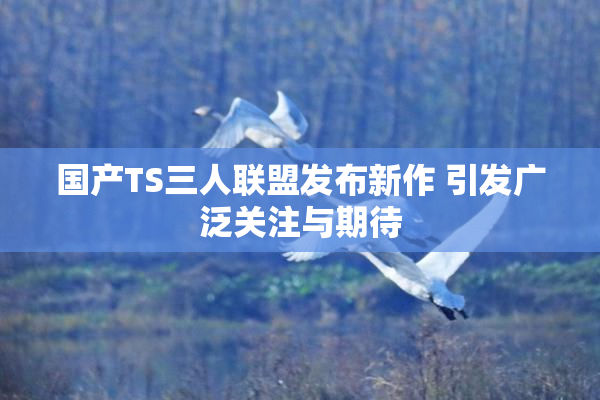 国产TS三人联盟发布新作 引发广泛关注与期待