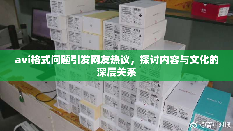 avi格式问题引发网友热议，探讨内容与文化的深层关系