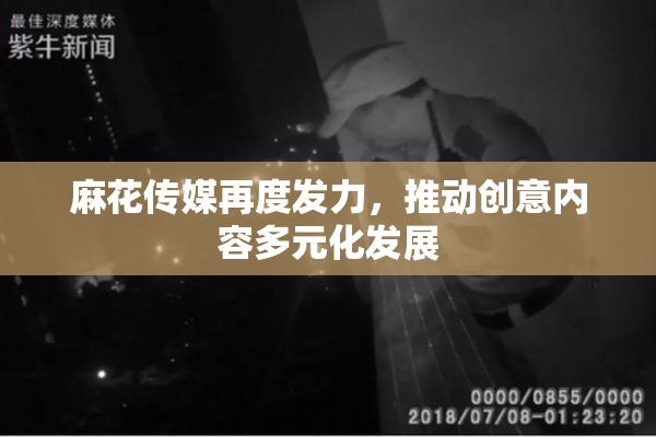 麻花传媒再度发力，推动创意内容多元化发展
